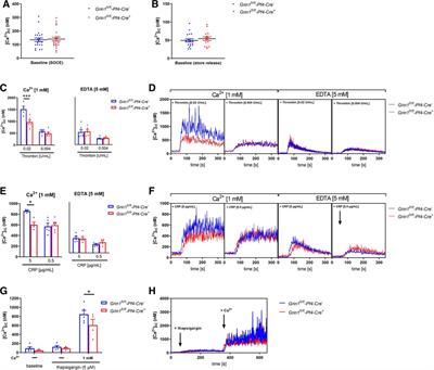 The NMDA receptor regulates integrin activation, ATP release and arterial thrombosis through store-operated Ca2+ entry in platelets